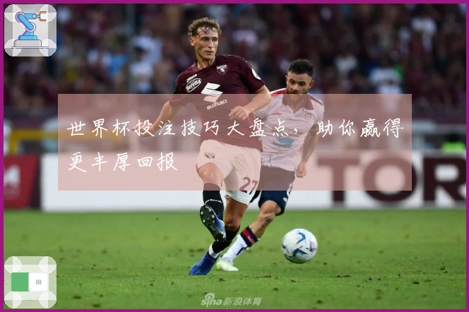 世界杯投注技巧大盘点，助你赢得更丰厚回报