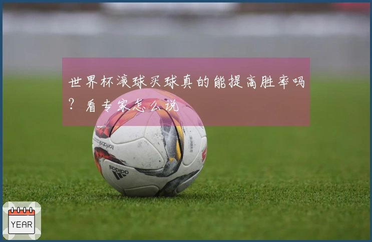 世界杯滚球买球真的能提高胜率吗？看专家怎么说