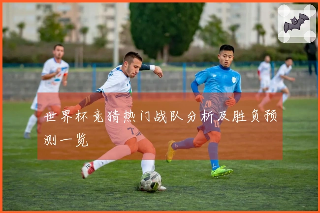 世界杯竞猜热门战队分析及胜负预测一览