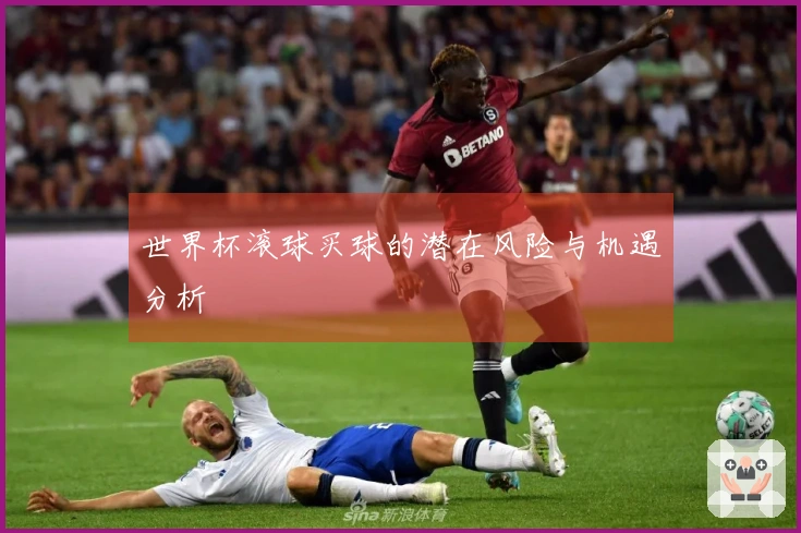 世界杯滚球买球的潜在风险与机遇分析