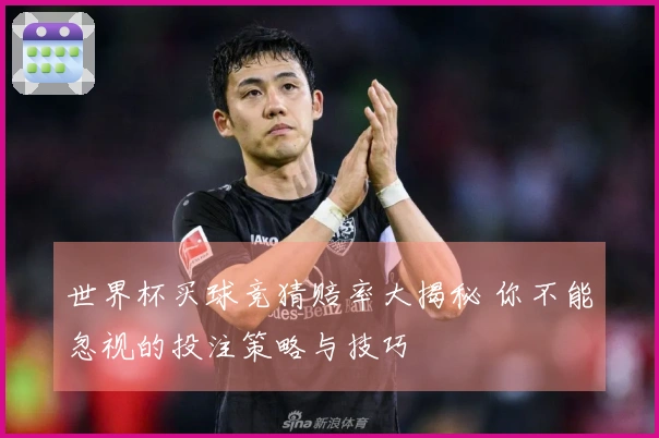 世界杯买球竞猜赔率大揭秘 你不能忽视的投注策略与技巧