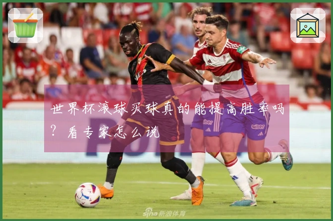 世界杯滚球买球真的能提高胜率吗？看专家怎么说