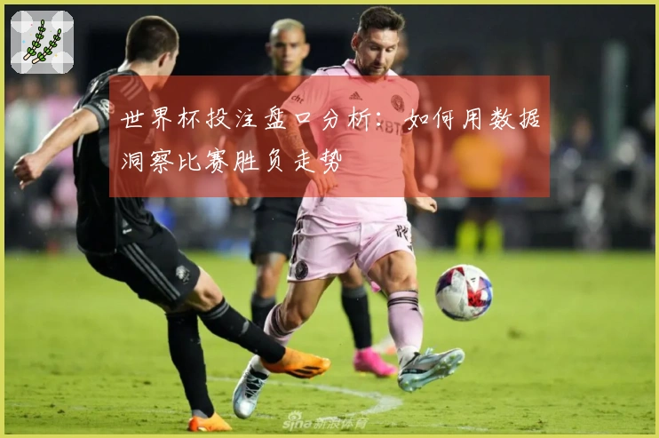 世界杯投注盘口分析：如何用数据洞察比赛胜负走势
