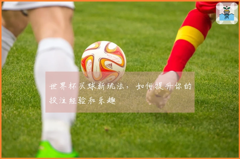 世界杯买球新玩法，如何提升你的投注经验和乐趣