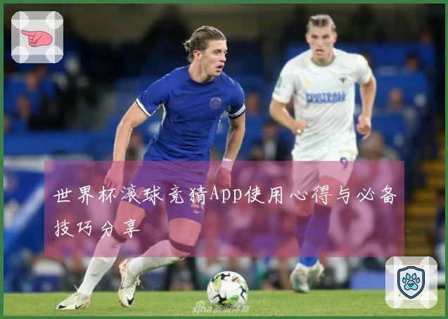 世界杯滚球竞猜App使用心得与必备技巧分享