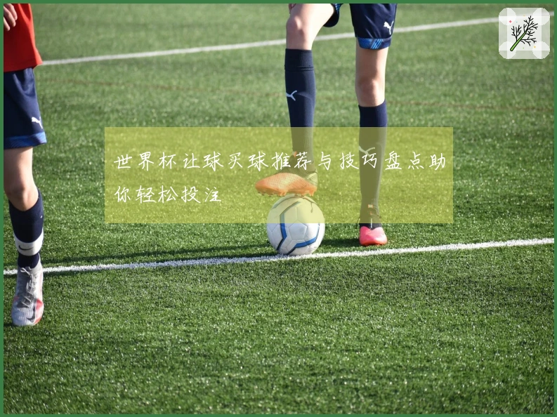 世界杯让球买球推荐与技巧盘点助你轻松投注