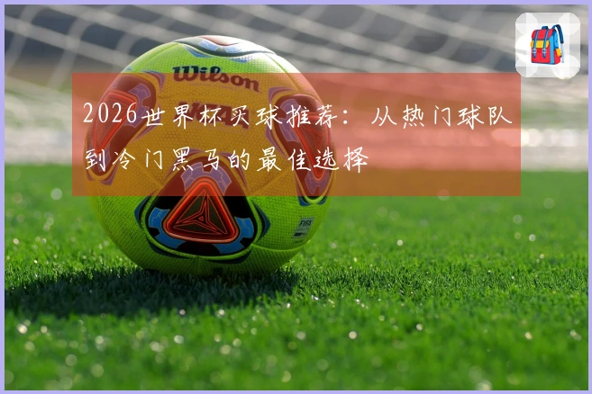 2026世界杯买球推荐：从热门球队到冷门黑马的最佳选择