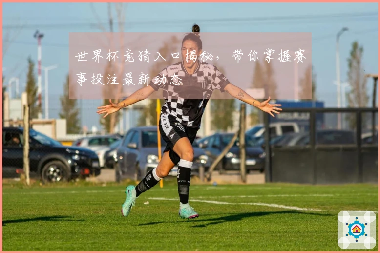 世界杯竞猜入口揭秘，带你掌握赛事投注最新动态