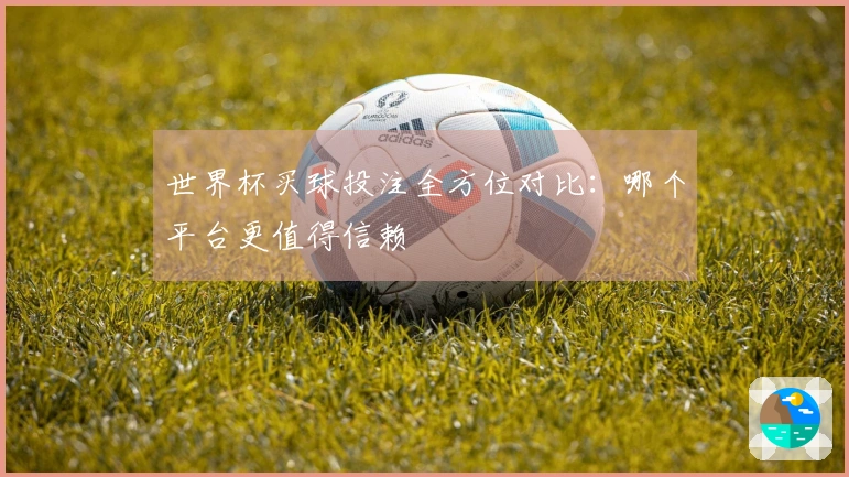世界杯买球投注全方位对比：哪个平台更值得信赖
