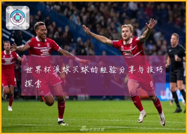世界杯滚球买球的经验分享与技巧探索