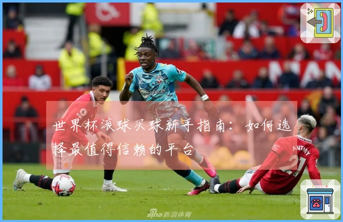世界杯滚球买球新手指南：如何选择最值得信赖的平台