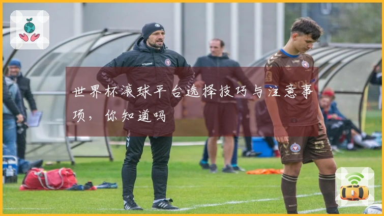 世界杯滚球平台选择技巧与注意事项，你知道吗