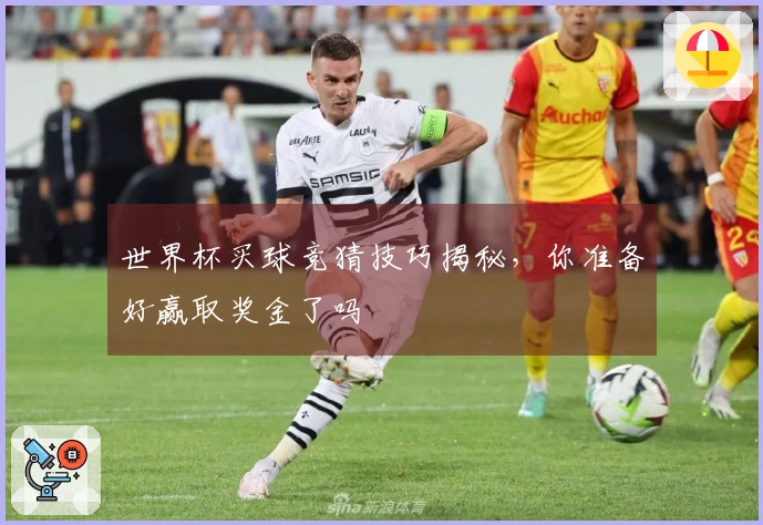 世界杯买球竞猜技巧揭秘，你准备好赢取奖金了吗
