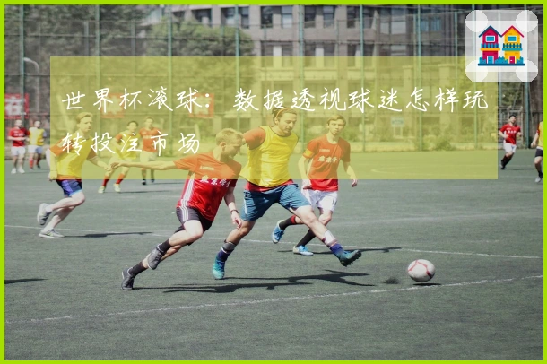 世界杯滚球：数据透视球迷怎样玩转投注市场