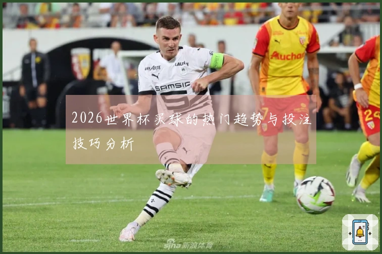 2026世界杯买球的热门趋势与投注技巧分析